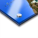 IMG 9701 Acrylic print