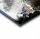 IMG 0467 Impression Acrylique