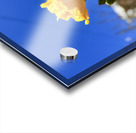 IMG 9796 Acrylic print