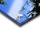 IMG 0029 Acrylic print