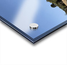 IMG 9555 Acrylic print