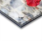 IMG 9957 Impression Acrylique