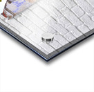 IMG 9961 Acrylic print