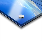 IMG 0551 Impression Acrylique