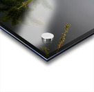 IMG 0437 Acrylic print