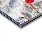 IMG 9956 Acrylic print