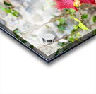 IMG 9955 Acrylic print