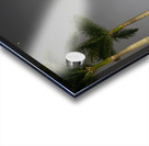 IMG 0441 Acrylic print