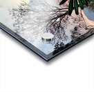 IMG 0496 Impression Acrylique