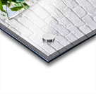 IMG 9958 Acrylic print