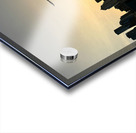 IMG 8007 Acrylic print