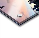 IMG 7958 Impression Acrylique