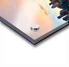 IMG 7980 Acrylic print