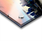 IMG 7956 Acrylic print