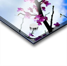 IMG 1702 Acrylic print