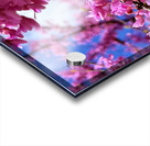 IMG 1577 Impression Acrylique