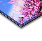 IMG 1620 Impression Acrylique