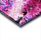 IMG 1696 Acrylic print