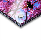 IMG 1659 Impression Acrylique