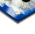 IMG 1740 Impression Acrylique