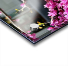 IMG 1627 Acrylic print