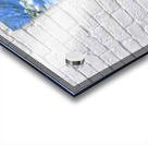 IMG 1602 Acrylic print