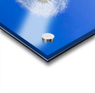 IMG 1764 Impression Acrylique