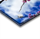 IMG 1550 Acrylic print