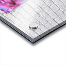 IMG 1671 Acrylic print