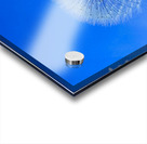 IMG 1762 Acrylic print