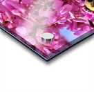 IMG 1670 Acrylic print