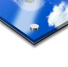 IMG 1759 Acrylic print