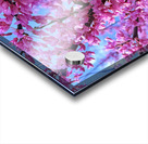 IMG 1617 Acrylic print