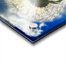 IMG 1743 Impression Acrylique