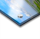 New Orleans from the Sky Acrylic print