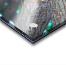 Tastes Like Chicken...Because it IS Acrylic print