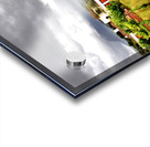 Vineyard in South Africa Acrylic print