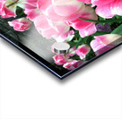 Tulips Are Better Than One B Acrylic print