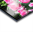 Tulips Are Better Than One C Impression Acrylique