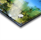 Pond Do  Acrylic print