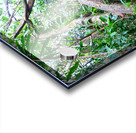 Branches of Life Impression Acrylique