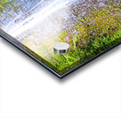 Falling for Colors Impression Acrylique