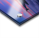 Flying into the Sunset 4 Acrylic print