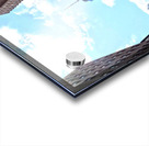 Freedom Tower NYC Acrylic print