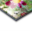 Flower Bloom 5B Acrylic print