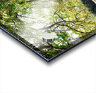 Rooted in Strength Impression Acrylique