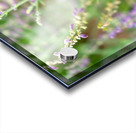 To Bee or Not to Bee -- Small Flower Big Flavor  Impression Acrylique