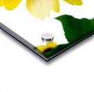 Blooms of Joy 3 Impression Acrylique