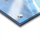 Eiffel Tower 2B Acrylic print