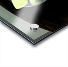 Glass Bloom 2 Impression Acrylique